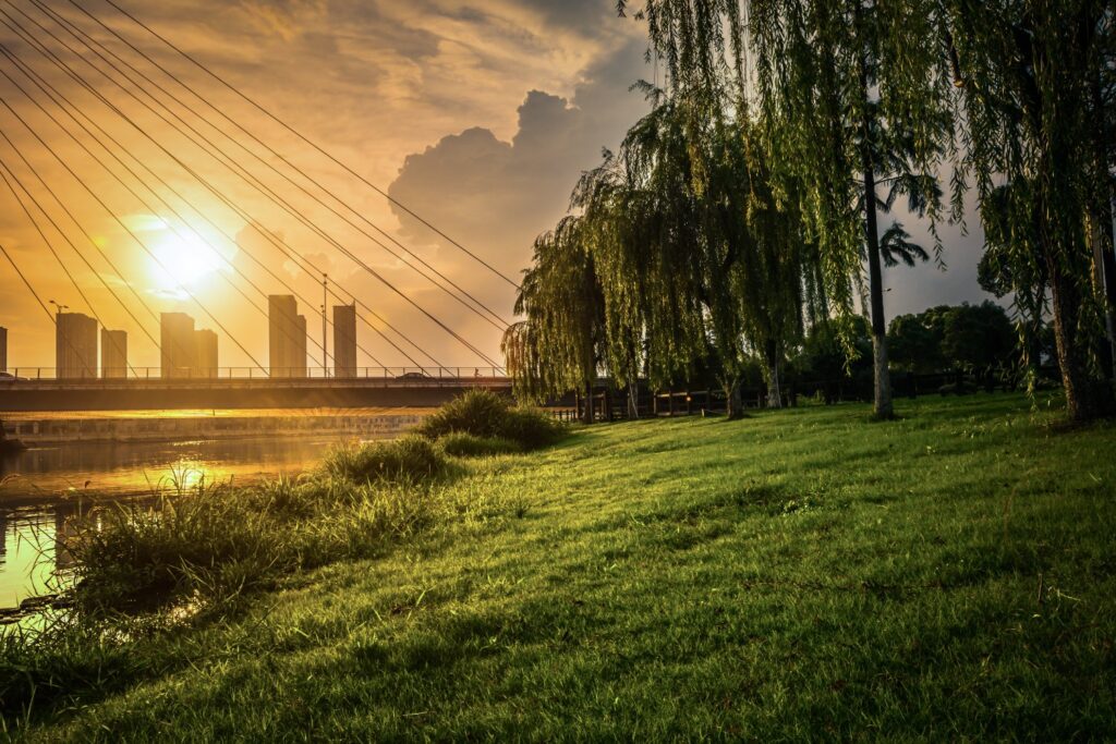 Benefits of Working with an SAP Gold Partner in Hyderabad