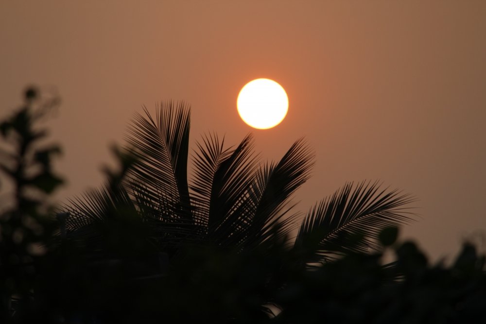 The Role of Artificial Intelligence in SAP Business One: Transforming Business Operations