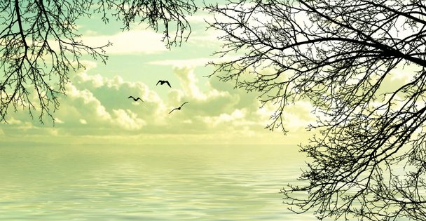 Using SAP ERP to Automate Project Milestone Billing in Professional Services